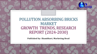 Pollution Absorbing Bricks Market Growth Research On Key Players-2030