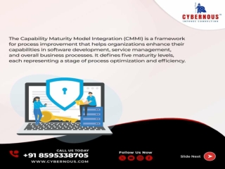 Achieve Excellence with CMMI at Cybernous!