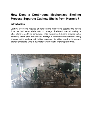 How Does a Continuous Mechanized Shelling Process Separate Cashew Shells from Kernels