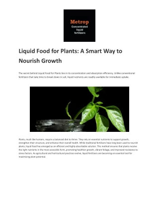 Liquid Food for Plants_ A Smart Way to Nourish Growth