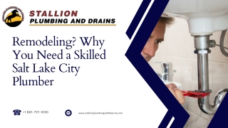 Remodeling Why You Need a Skilled Salt Lake City Plumber