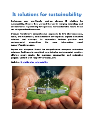 It solutions for sustainability