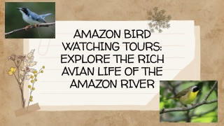 Amazon Bird Watching Tours: Explore the Rich Avian Life of the Amazon River