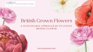 Pulteney Bridge in Bloom: A British-Grown Beauty