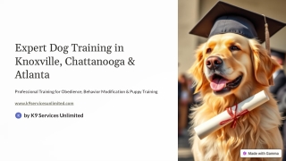 Expert-Dog-Training-in-Knoxville-Chattanooga-and-Atlanta