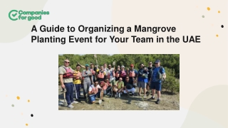 A Guide to Organizing a Mangrove Planting Event for Your Team in the UAE