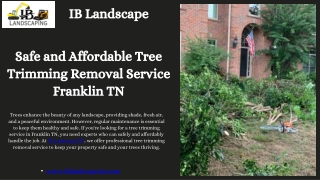 Safe and Affordable Tree Trimming Removal Service Franklin TN