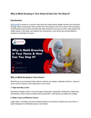 Why Is Mold Growing in Your Home & How Can You Stop It_