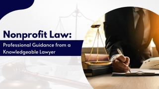 Professional Legal Support for Your Organization