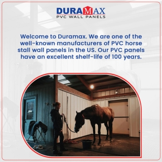 Choose-PVC-Horse-Stable-Panels-for-Impact-Resistant-Walls