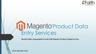 Complete Magento Product Data Entry Solutions