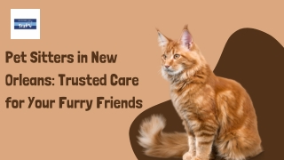 Trusted Pet Sitters in New Orleans – K9 Second Line