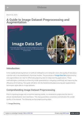 A Guide to Image Dataset Preprocessing and Augmentation