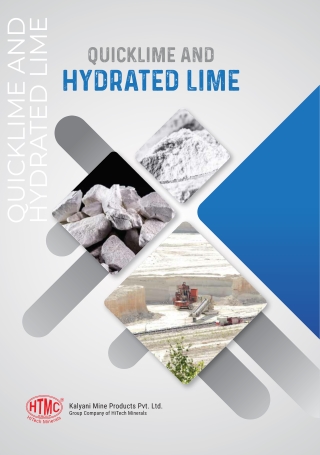 Leading Quick Lime & Hydrated Lime Suppliers in India