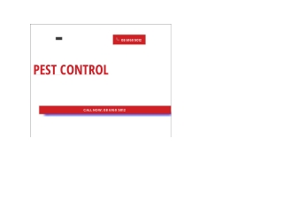 Pest Control Gawler: Local Solutions for Effective Pest Management