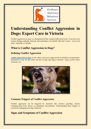 Understanding Conflict Aggression in Dogs Expert Care in Victoria