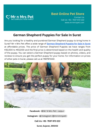 German Shepherd Puppies For Sale In Surat