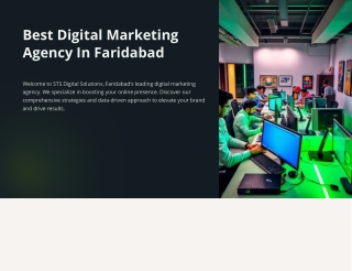 Best Digital Marketing Agency In Faridabad  | STS Digital Solutions