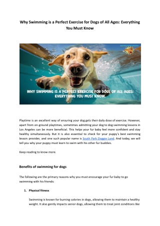 Why Swimming is a Perfect Exercise for Dogs of All Ages_ Everything You Must Know