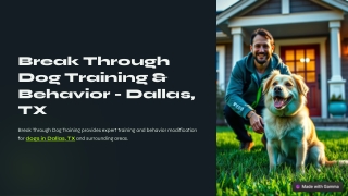 Dog Training Dallas Tx
