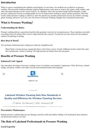 The Power of Pressure Washing: Insights from Lakeland Professionals