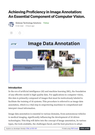 Achieving Proficiency in Image Annotation: An Essential Component of Computer Vi