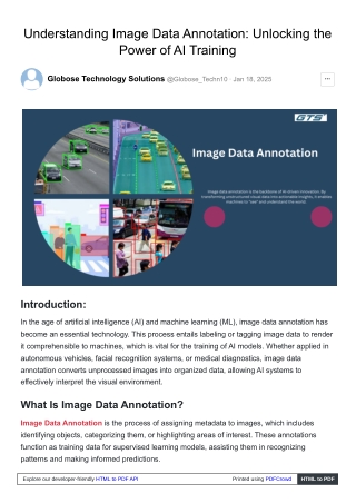 Understanding Image Data Annotation: Unlocking the Power of AI Training