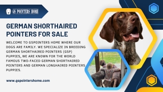 Get German Shorthaired Pointer Puppies for Sale in Ohio
