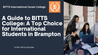A Guide to BITTS College A Top Choice for International Students in Brampton