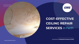 Cost-effective Ceiling Repair Services in Perth