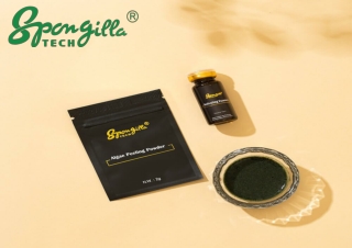 Premium Sponge Spicules Factory for High-Quality Skincare Products