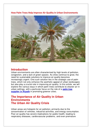 How Palm Trees Help Improve Air Quality in Urban Environments