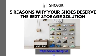 5 Reasons Why Your Shoes Deserve the Best Storage Solution