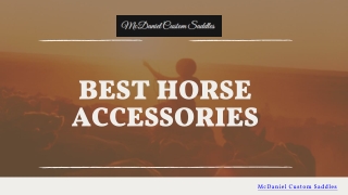The Best Horse Accessories | Premium Tack & Gear for Every Rider
