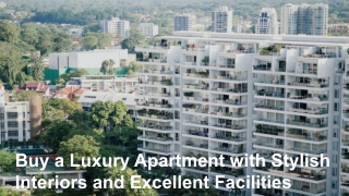 Buy a Luxury Apartment with Stylish Interiors and Excellent Facilities