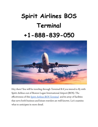 Spirit Airlines BOS Terminal