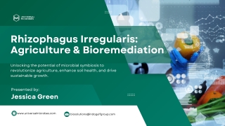 Rhizophagus Irregularis Agriculture & Bioremediation