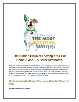 Premium Pet Boarding Facilities – Safe & Fun Stay  Dogtopia