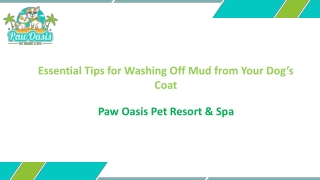 Essential Tips for Washing Off Mud from Your Dog’s Coat