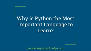 Why is Python the Most Important Language to Learn