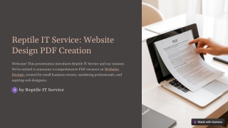 Professional Website Design Services by Reptile IT Service