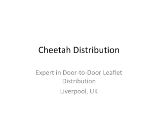 Cheetah_Distribution_Leaflet_distribution_Liverpool_Presentation