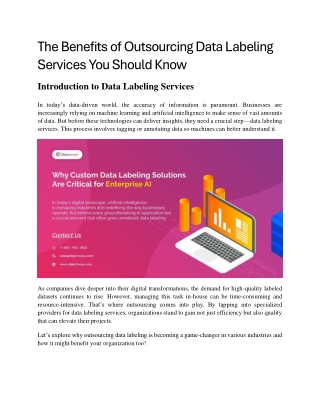 The Benefits of Outsourcing Data Labeling Services You Should Know