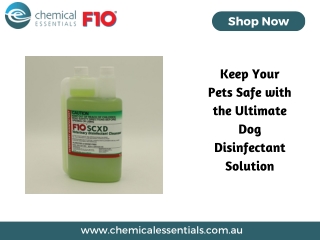 Keep Your Pets Safe with the Ultimate Dog Disinfectant Solution