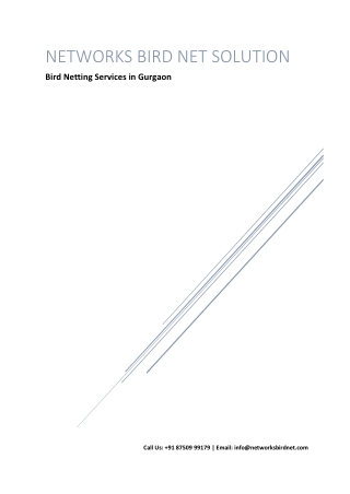 Get the best Bird Netting Services in Gurgaon
