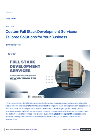 Custom Full Stack Development Services Tailored Solutions for Your Business
