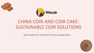 China Coir and Coir Cake Sustainable Coir Solutions