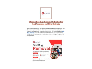 effective-bed-bug-removal-understanding-heat-treatment-and-other-methods_00001