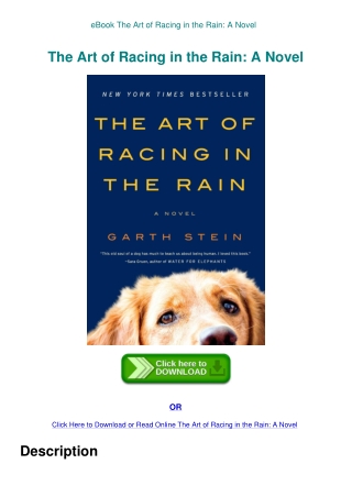 eBook The Art of Racing in the Rain A Novel