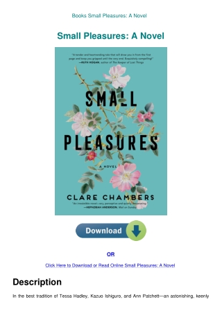 Books Small Pleasures A Novel